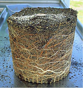 roots circle in any size smooth wall containers
