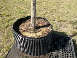 plastic container with thousands of air pruning holes